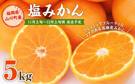 A157 福岡県山川産 塩みかん 5kg 【2024年11月上旬～12月上旬発送予定】 蜜柑 花藻塩