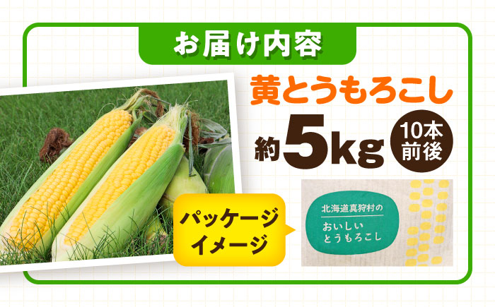 【2026年8月下旬以降順次発送】 とうもろこし（黄）5kg  |  とうもろこし とうきび トウモロコシ コーン 野菜 やさい 北海道 産地直送 |  道の駅 真狩フラワーセンター [BPAM020