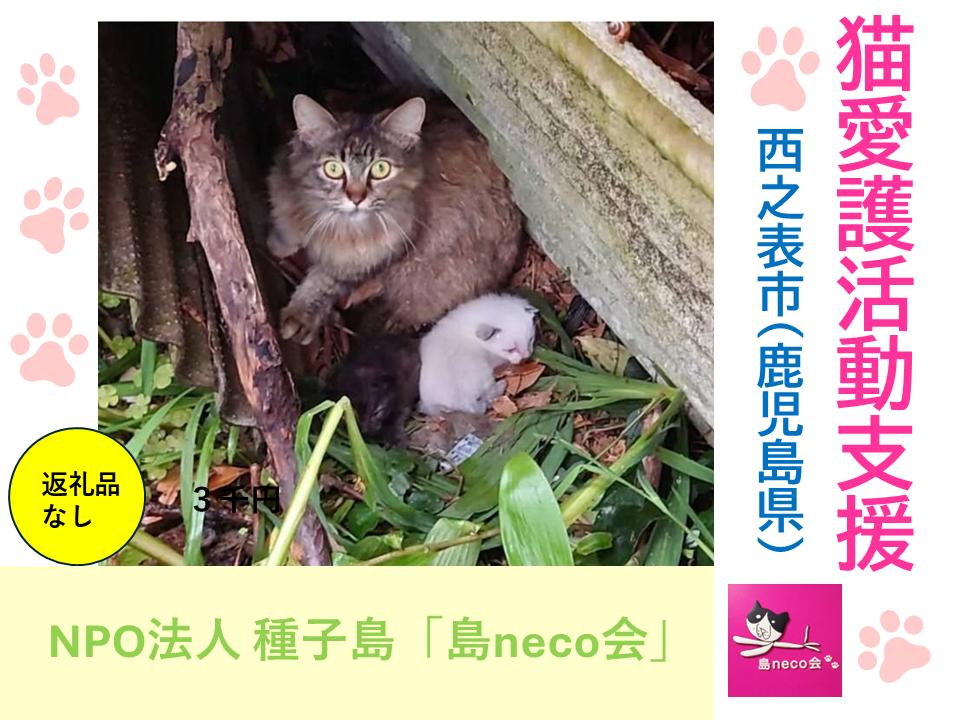 【返礼品なし】猫愛護活動支援 NFN639 【125PT】// 特定非営利活動法人　種子島 島neco会