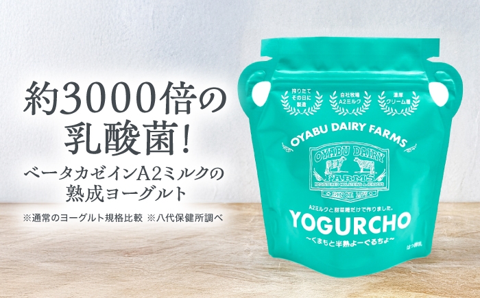 オオヤブデイリーファーム くまもと半熟よーぐるちょ 350g×5個セット ヨーグルト