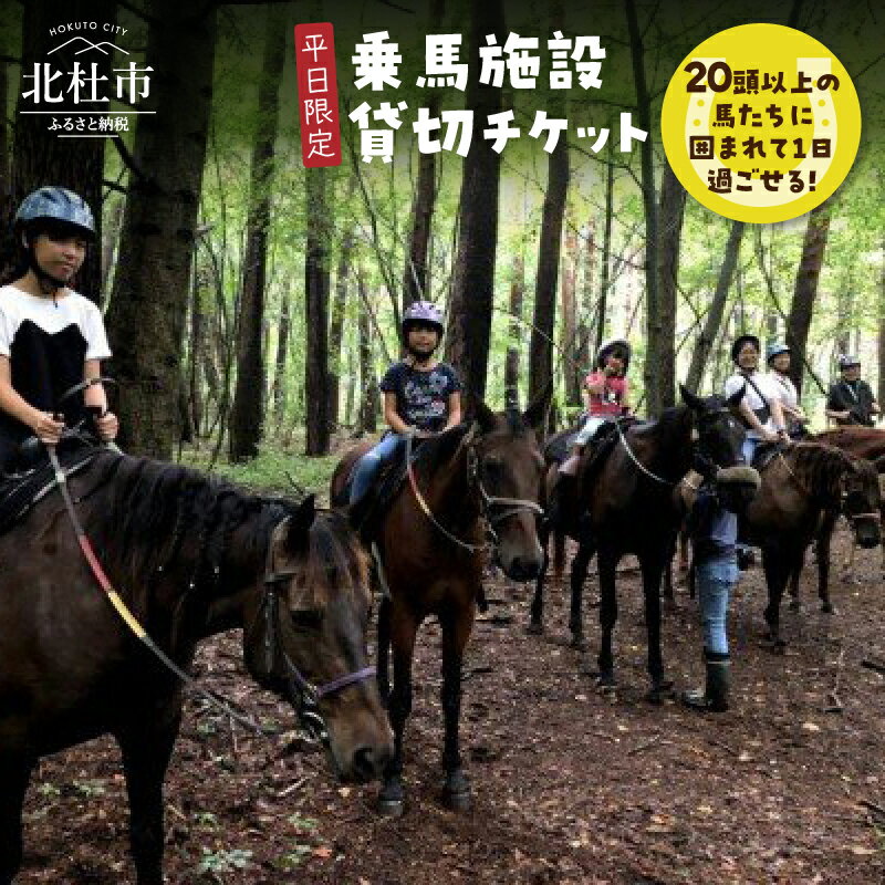 【ふるさと納税】 乗馬 貸切 チケット 貸切チケット 乗馬体験 平日限定 最大25名様 グループ ファミリー 家族 馬20頭以上 体験