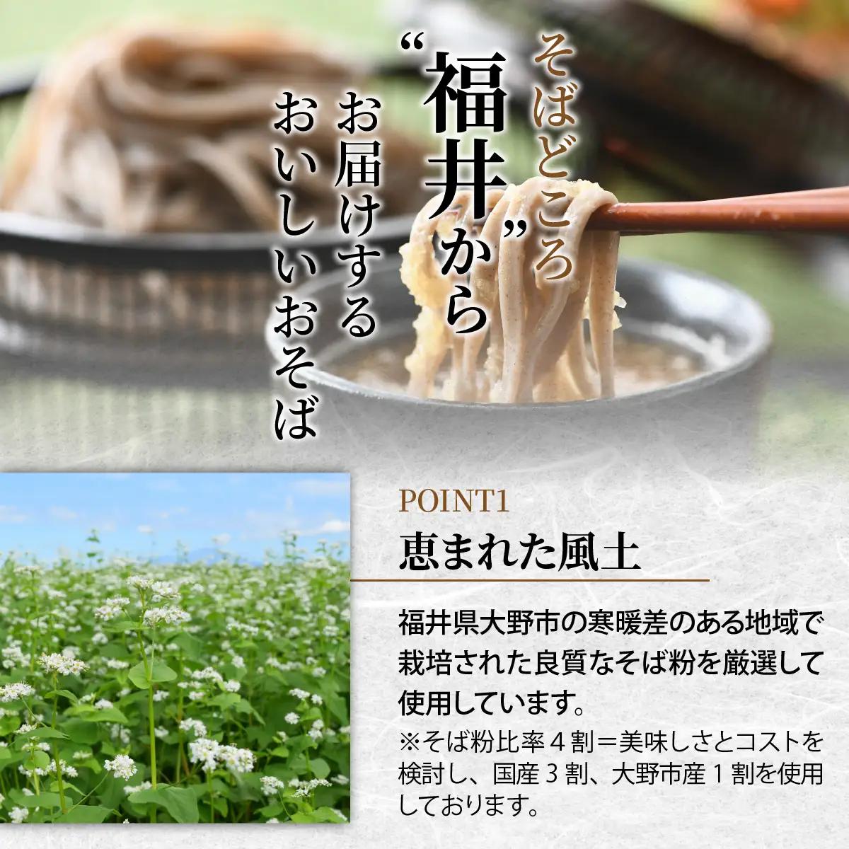 ヤマサ製麺 半生そば 10食（越前そば4食+永平寺そば6食） [A-120008] 