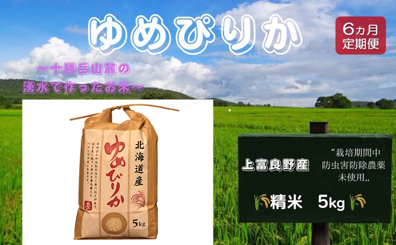 
            北海道 上富良野産「 ゆめぴりか 」特別栽培 白米 5kg（令和7年産）【定期便 全6回】 お米 日用品 ライス ご飯 食べ物 ストック 常備品 北海道産 おにぎり お弁当
          