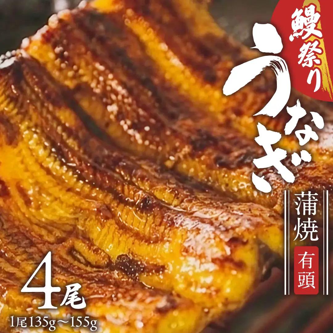 【牛久うなぎ祭り開催！期間限定の特別受付スタート】鹿児島県産 有頭 鰻 蒲焼 × 4尾 （ 1尾 135g ～ 155g 以上） 土用の丑の日 鰻祭り うなぎ ウナギ 土用丑の日 家庭用 贅沢 国産 旬 敬老の日 タレ 山椒 付 縁起