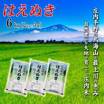 ふるさと納税 酒田市 【令和7年産】山形県産はえぬき 6kg(2kg×3袋)精米
