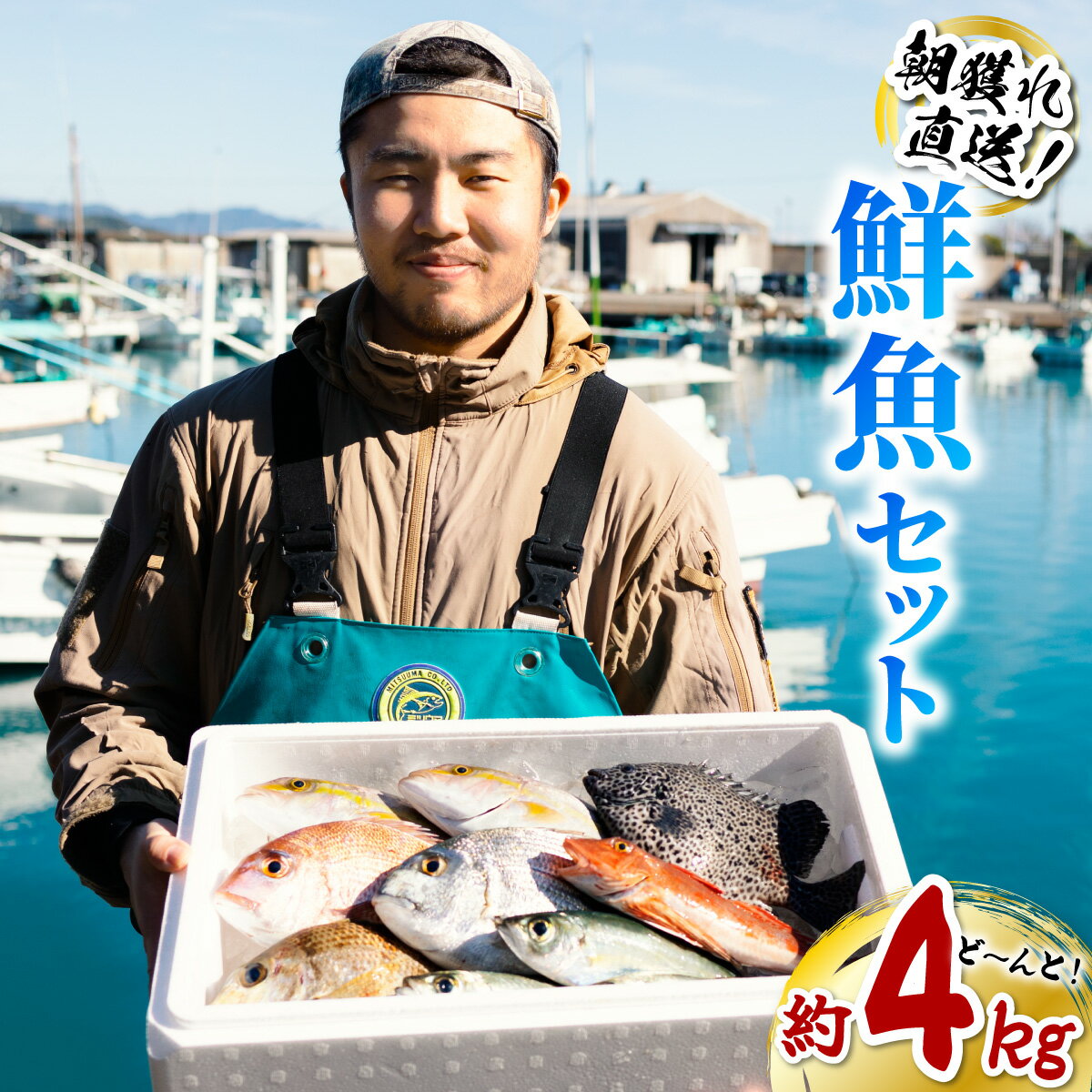 【ふるさと納税】 鮮魚 セット 約4kg 鮮魚セット 詰め合わせ 魚 海鮮 海の幸 朝獲れ とれとれ 新鮮