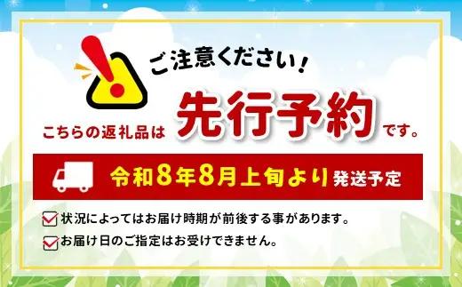 【先行予約】果肉が厚く旨味が濃い 天龍産パプリカ６個セット