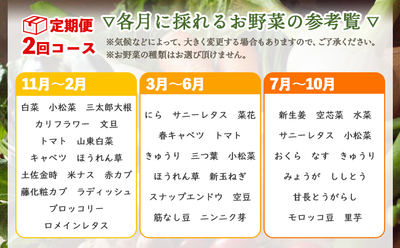 定期便2回コース 高知県香南市産 旬のお野菜詰合せ(10～13品目) - 送料無料 10～13種類 やさい 季節の野菜 新鮮 お楽しみ おたのしみ おまかせ 詰め合わせ セット 土佐野菜 新鮮 国産 