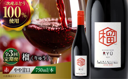 【全3回定期便】赤ワイン 榴 りゅう RYU 750ml×1本 [APAZ138]赤ワイン