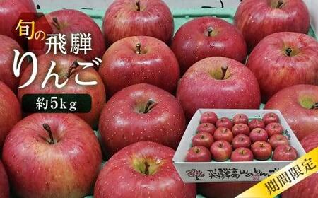 【先行予約 9月中旬～1月下旬発送】飛騨りんご 約5kg (16個～20個）| リンゴ 品種おまかせ 旬のりんごを飛騨からお届け おいしい 大容量 飛騨高山 山本果樹園 MA005