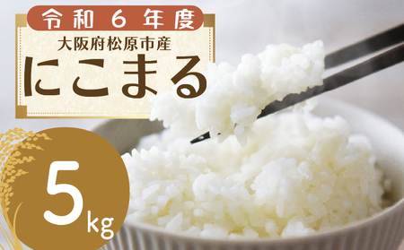 【 令和6年度産 】 お米 5kg にこまる 