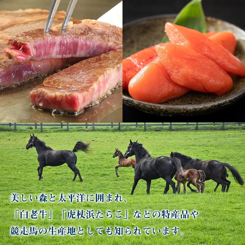 北海道 白老町☆応援寄付金☆【返礼品なし】10000円