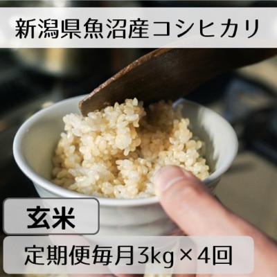 ふるさと納税 十日町市 【毎月定期便】新潟県魚沼産コシヒカリ「山清水米」玄米3kg全4回