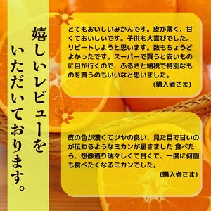 2箱セット　丹精込めて育てました！マルチみかん『うまか』　※11月中旬頃から発送　※離島不可