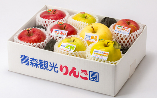 贈答用【8月中旬～随時発送】農家おススメ!旬のりんご約3kg(9玉～11玉入り)【配送不可地域：離島】