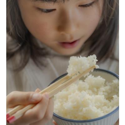 ふるさと納税 酒田市 山形県産米　つや姫・雪若丸・はえぬき・ひとめぼれ　各2kg　計8kg食べ比べ |  | 01