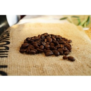 スペシャルティコーヒー 清風 -SEIFU- シングルオリジン 200g コーヒー豆 珈琲豆 コーヒー 珈琲 豆 自家焙煎 京都 笠置