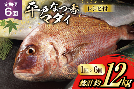 タイ 刺身 平戸なつ香 鯛 丸々 1匹 約2kg 6回 定期便 総計 約12kg [（株）坂野水産 長崎県 平戸市 hr42bgy420441]