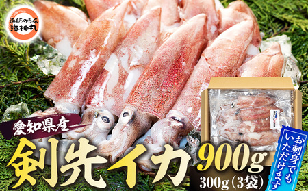 剣先イカ 3袋 小分け 冷凍 アカイカ 刺身 ケンサキイカ ふらい にもの イカ 料理 おかず 天ぷら フライ 愛知県 愛知県産 イカ