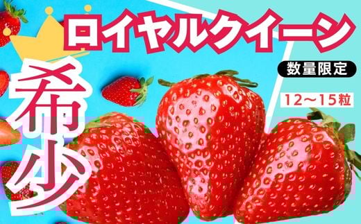 【定期便3回】栃木県産 いちご ロイヤルクイーン 12～15粒｜いちご イチゴ 苺 フルーツ 果物 産地直送  (1月・2月・3月お届け）