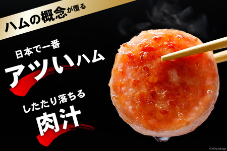 GD192 雲仙ハム ソーセージ 小×2本＋ハム×1本 各300g [ 長崎県 島原市]