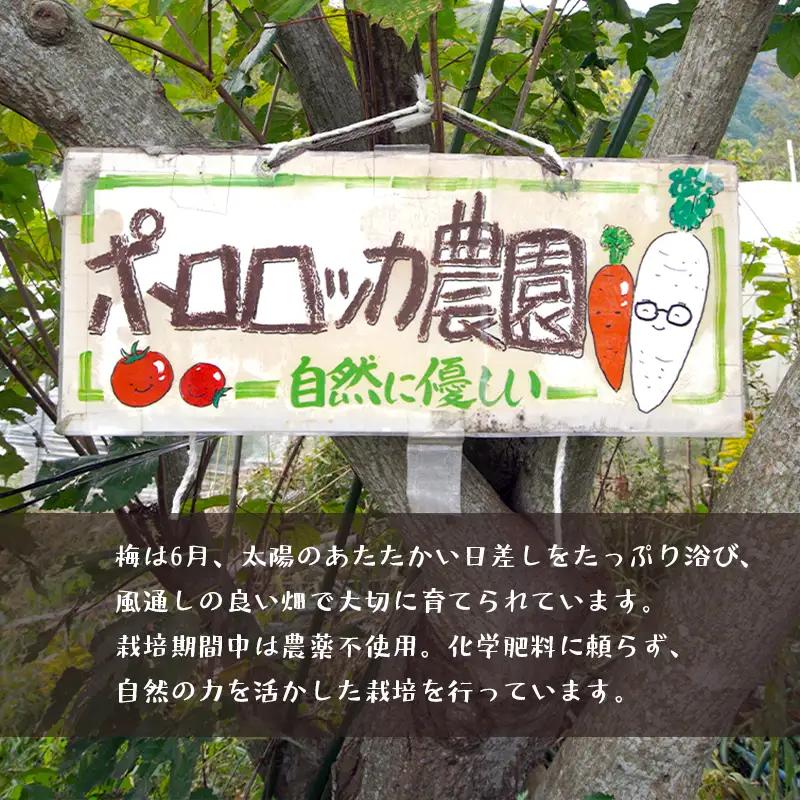 【8月発送】 無添加 梅干し 減塩 小分け 1.5kg ： 南高梅 梅干し