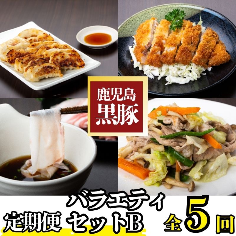 【E02007】＜定期便・全5回(毎月)＞バラエティーセットB！