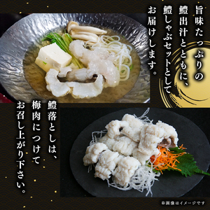 【京都 魚又】鱧しゃぶ  はも落とし セット  ＼ 鱧 ／【033】