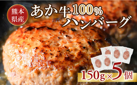 117-48　オアシス九州　熊本県産あか牛ハンバーグ150ｇ×5個
