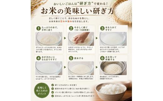 【最短1週間以内発送！】 彩のきずな 10kg 【精米】 令和7年産 5kg × 2袋 白米 米 お米 ライス 10キロ 米10kg ごはん こめ コメ はくまい kome okome ※ ブランド米