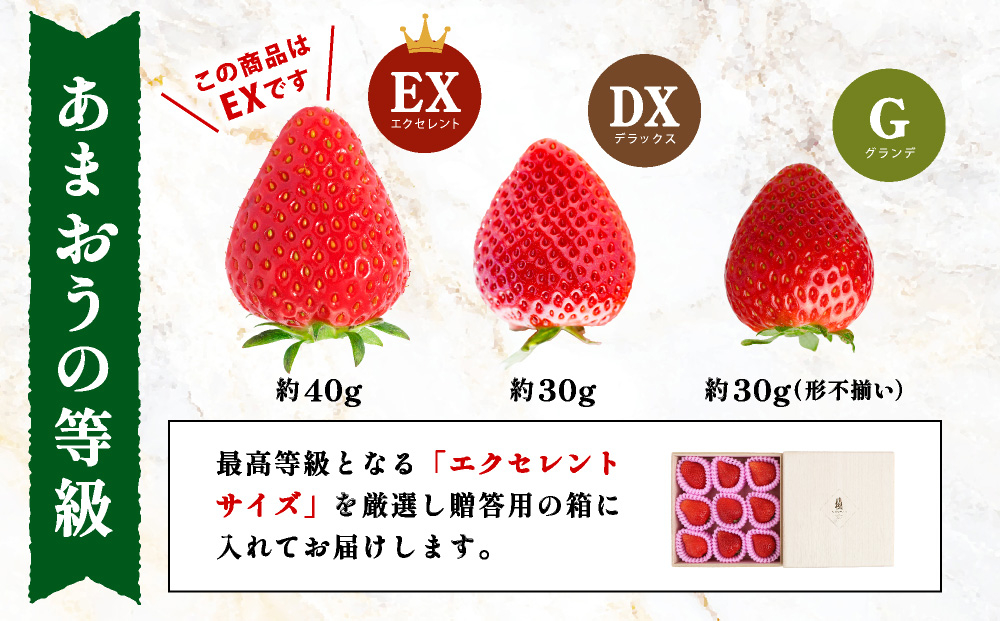 あまおう『極』重箱1段 9粒(約300g) あまおう『極』重箱1段 9粒(約300g)