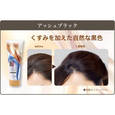 ふるさと納税 稲沢市 ダリヤ　サロン　ド　プロ　ドレッシーカラートリートメント《アッシュブラック》3個セット |  | 02