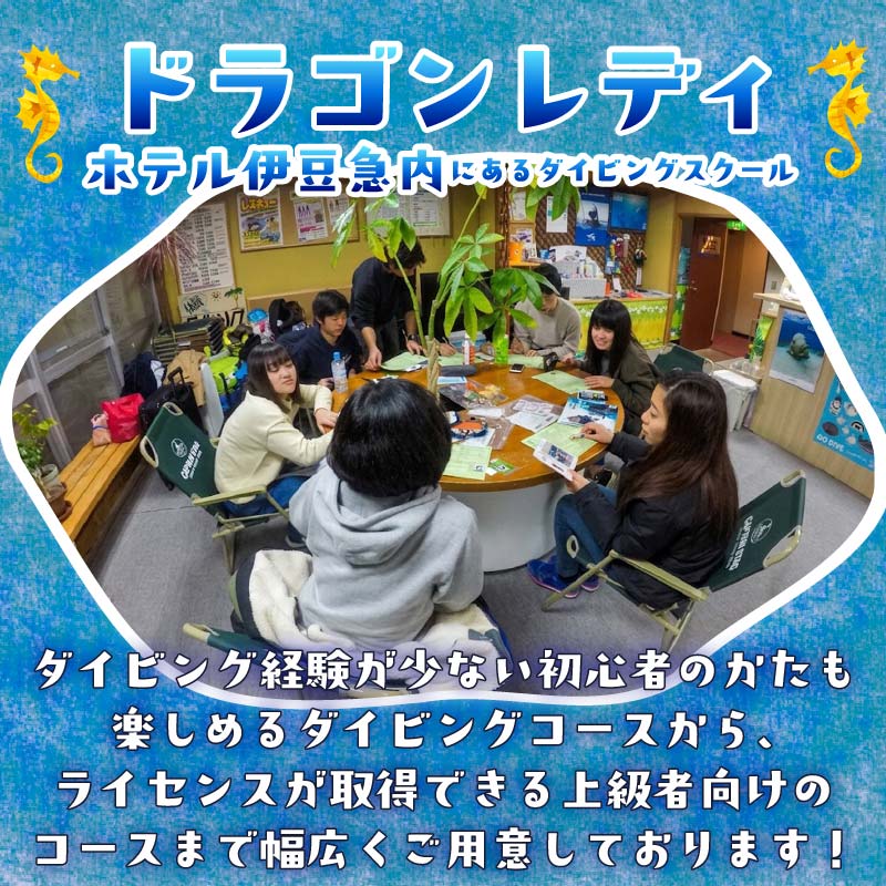 ダイビング 補助券 3,000円分 優待券 下田 体験 海 アウトドア スポーツ アクティビティ マリンスポーツ レジャー 旅行 観光 夏休み お盆 GW 冬休み 春休み 初心者 中級者 上級者 コー