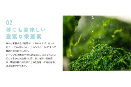宮古島の環境だから実現できた『オーガニックあおさ』3袋セット（GF001）