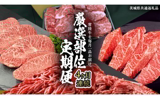 【 常陸牛 】 4ヶ月連続定期便！厳選部位を毎月１品お届け (茨城県共通返礼品)  希少部位 国産黒毛和牛 黒毛和牛 国産 国産牛 和牛 牛肉 お肉  お肉 肉 牛 専門店 ひたち牛 ブランド牛 A4 A5 ランク イチボ ミスジ ステーキ すね肉 挽肉 ブランド 冷凍 BBQ バーベキュー 焼肉 煮込み トロトロ とろとろ 藤井商店[CD083sa]