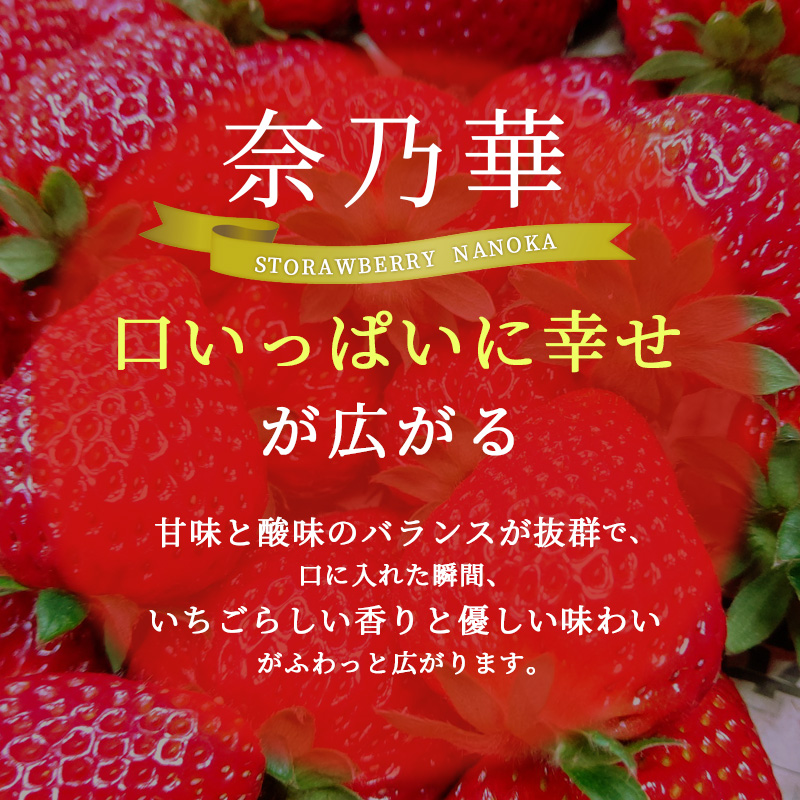 先行予約 【いちご 完熟 奈乃華 約540g(270g× 2パック ) 佃農園