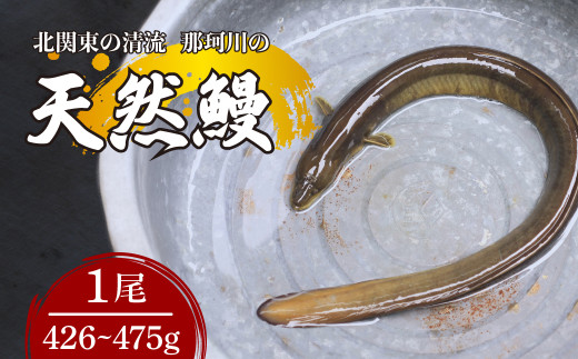 天然鰻 北関東の清流「那珂川産」 1尾 426～475g 真空冷凍 | 鰻 うなぎ ウナギ 天然 天然うなぎ 希少 貴重 鮮魚 新鮮 北関東 清流 蒲焼 かば焼き 白焼き 炭火焼 うな重 うな丼 Riverline 栃木県 茂木町