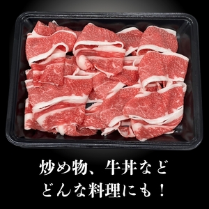 飛騨牛 切り落とし 500g | 岐阜県 北方町