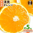 【ふるさと納税】【産直】有田産 清見オレンジ 秀品 約5kg サイズおまかせ 日高川町厳選館《2月末-4月中旬頃出荷》和歌山県 日高川町 柑橘 果物 フルーツ 清見 オレンジ 清見オレンジ 有田産