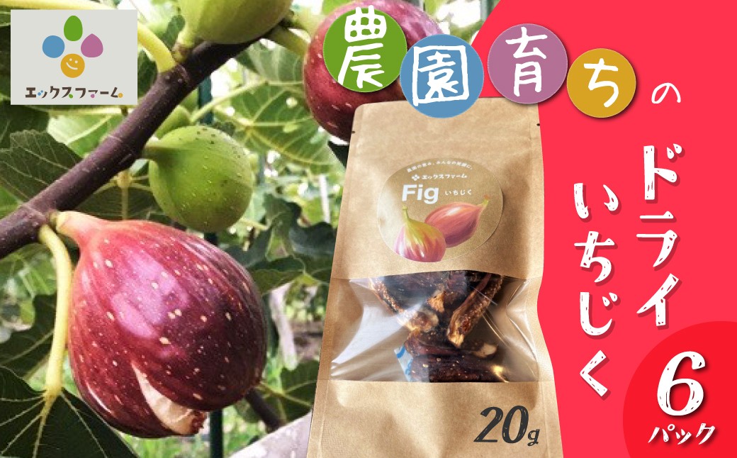 
                  【無添加・砂糖不使用】農家が本気で作ったドライいちじく（20g×6パック） ドライフルーツ 完熟果実 乾燥 自然派 シンプル やさしい 甘い プチプチ イチジク 無花果 H164-013
                
