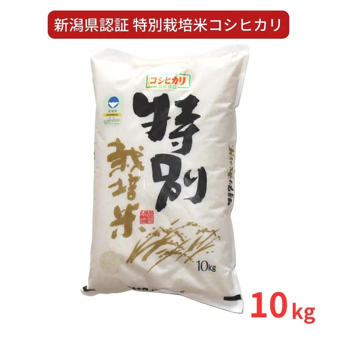 特別栽培米 コシヒカリ10kg 新潟県認証 令和7年産 三条市 コシヒカリ アグリ巧房