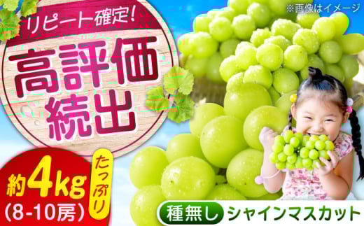 数量限定/9月上旬〜9月下旬頃発送 沼隈ぶどう「シャインマスカット」 約2kg×2(8〜10房) 広島県福山市/福山市農業協同組合　沼隈グリーンセンター ぶどう ブドウ 葡萄 種なし 大粒 マスカット シャインマスカット [BAEV011]