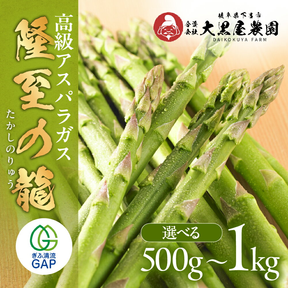【ふるさと納税】先行予約【期間限定】（2026年5月から順次発送）高級アスパラガス 隆至の龍 500g（約25本入り）レギュラーサイズ アスパラ 下呂市 限定 こだわり ブランド【大黒屋農園】