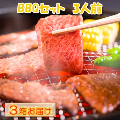 ハッピー!BBQセット　～焼肉5種　3人前コース～　3箱セット[No.5217-0114]