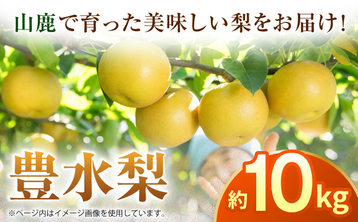 【先行予約】【数量限定】豊水梨　約10kg 【日本フルーツ株式会社】 [ZFJ014]