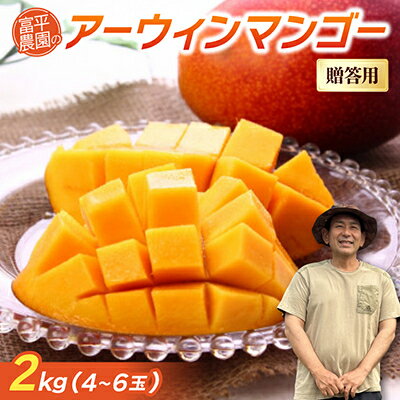 【ふるさと納税】【2026年7月から順次発送・贈答用】富平農園のアーウィンマンゴー2kg(4～6玉)【配送不可地域：離島】【1726881】