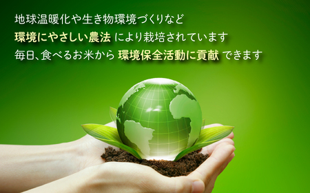 地球にやさしいパックご飯 20食入り【玄米】　減農薬・減化学肥料 「特別栽培米」－地球にやさしいお米－