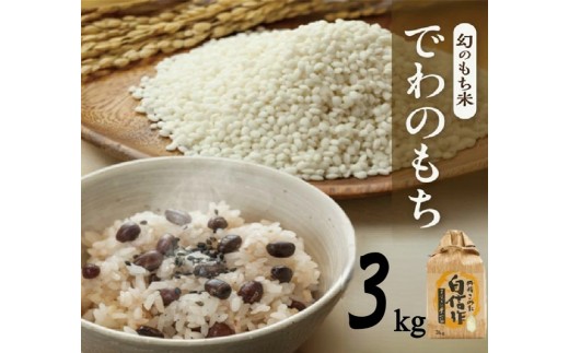 令和7年産【もち米】でわのもち　3kg(3kg×1袋) YA SA2841