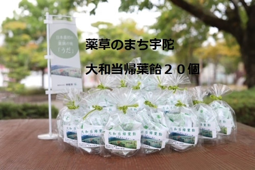 
薬草のまち宇陀　大和当帰葉飴　20個／飴　個包装　20個　奈良県　宇陀市
