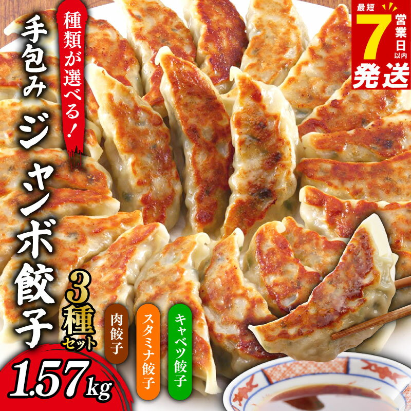 【ふるさと納税】 ＼最短7営業日以内発送／ 餃子セット 1.57kg ( 15個 × 3P ) ジャンボ 1個35g 解凍不要 肉餃子 / スタミナ餃子 / キャベツ餃子 / 3種セット 小分け 冷凍 ビッグ 手包み たっぷり ぎょうざ ギョウザ 国産 豚肉 鶏肉 野菜 千葉県 旭市 株式会社松央ミート